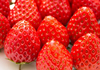 BERRY FRUIT FLAVOR image